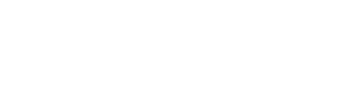 Allegis Partners Logo - White